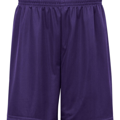 BDG ADT 9 MINI MESH SHORT Thumbnail