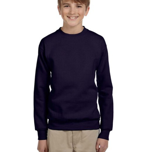 Hanes Youth ComfortBlend® EcoSmart® Fleece Crew P360 Youth ComfortBlend® EcoSmart® Fleece Crew Thumbnail